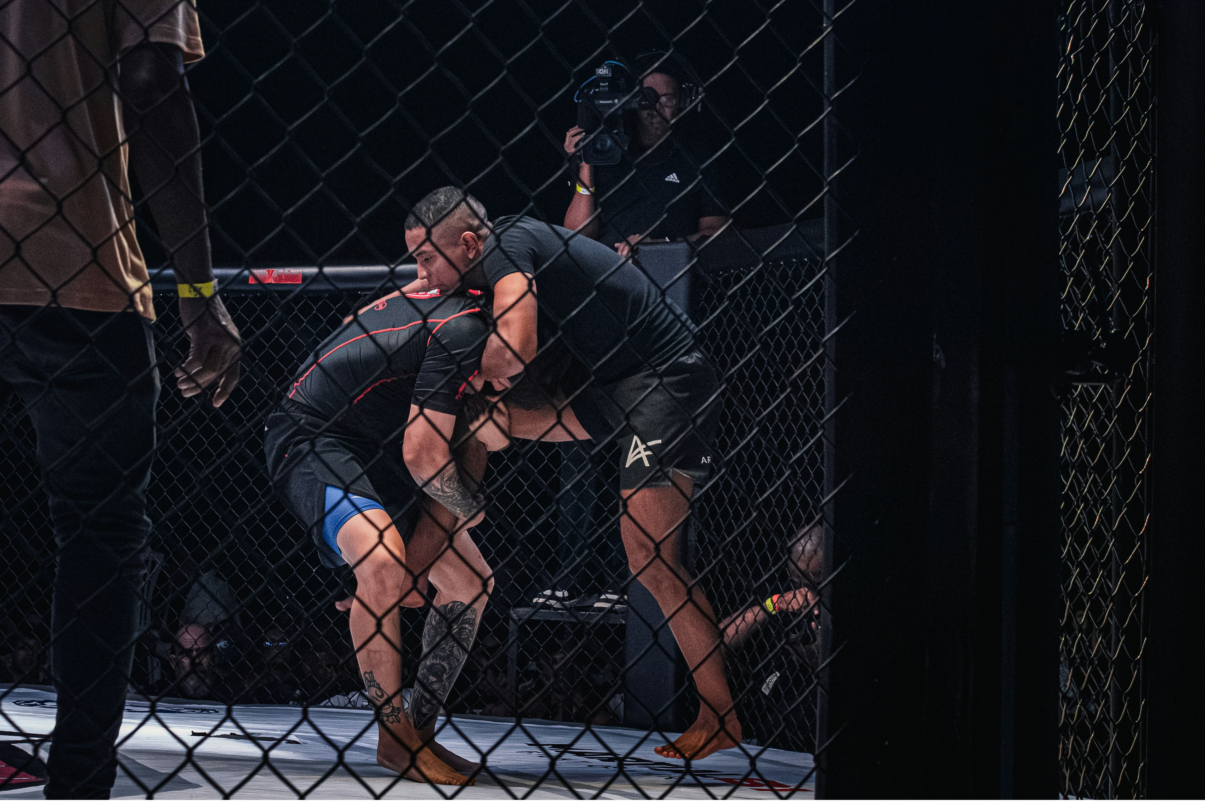 MMA training in the cage